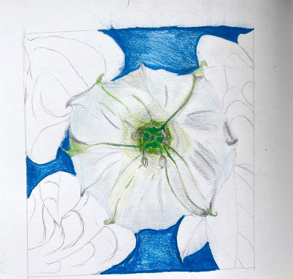 A huge well done to Harry, Malina and Kamila in Year 7 who earned themselves an SLT Commendation for these fantastic pieces of artwork looking at Georgia O’Keefe’s flowers!🌼🌺