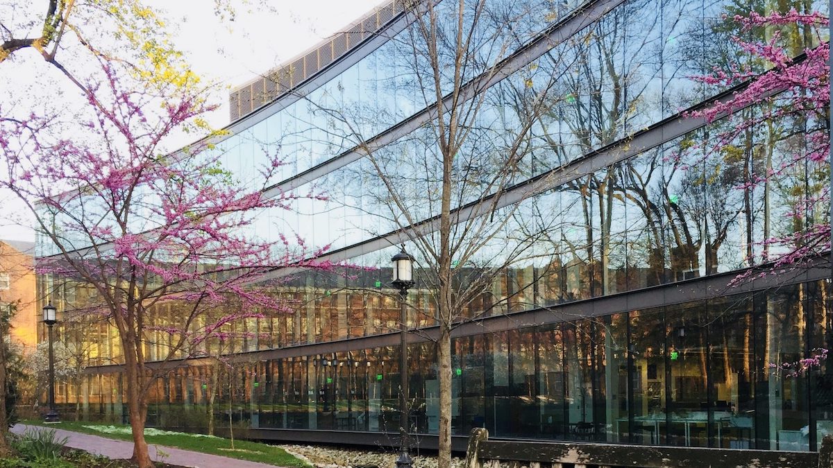 My lab at Johns Hopkins is recruiting a postdoc. We use computational and statistical methods to study human evolutionary and reproductive genomics. Questions and informal inquiries are welcome. 🧬 rajivmccoy.files.wordpress.com/2021/04/2021_p…