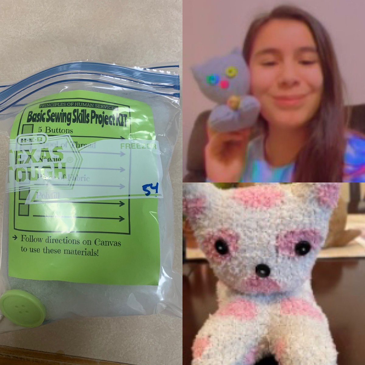 fcs_m_garza's tweet photo. Principles of Human Services students had the opportunity to learn some basic sewing skills! They picked up a sewing kit at Rowe, practiced basic stitches & then made a sock stuffed animal๐ Definitely needed after not being able to do our regular hands on activities! #RoweFCS https://t.co/wsW5TOHHWD