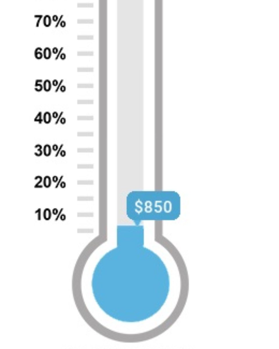 This years fundraising goal for the Mudpuppy Chase is $20,000! Help us raise these funds by donating below. Funds raised have gone back into the community to help programs like <a href="/Nutrition4Learn/">NutritionforLearning</a>, <a href="/KidsAbility/">KidsAbility</a> and <a href="/Strong_Start/">Strong Start</a> 

secure.e2rm.com/registrant/Eve…