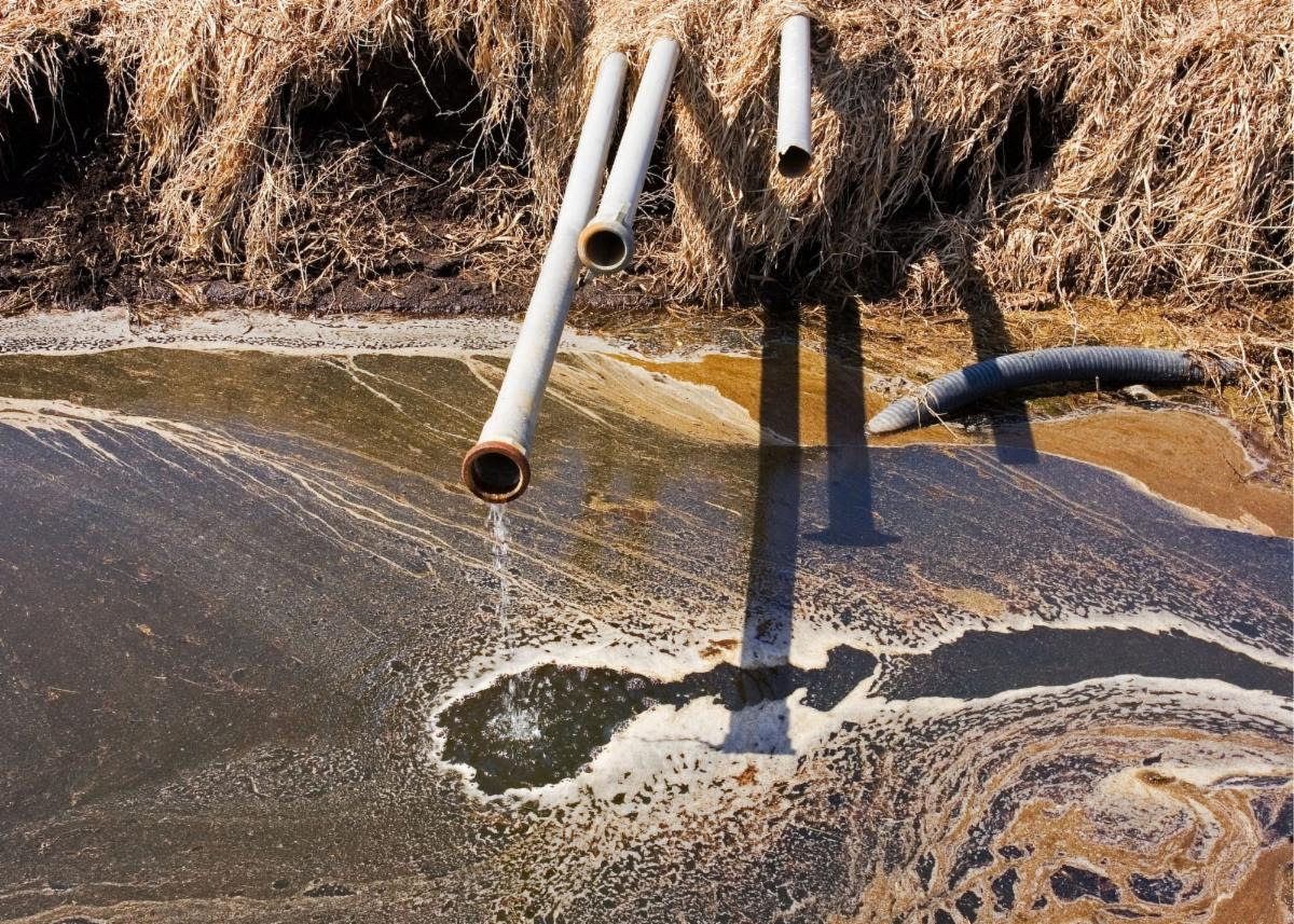 For 16+ years Channelkeeper &amp; our conservation partners have been working to protect #CentralCoast waterways from #AgriculturalPollution. On April 14th, we will testify at the adoption hearing to voice our disapproval of the new Ag Order 4.0.
Learn more: bit.ly/3mQBrWs