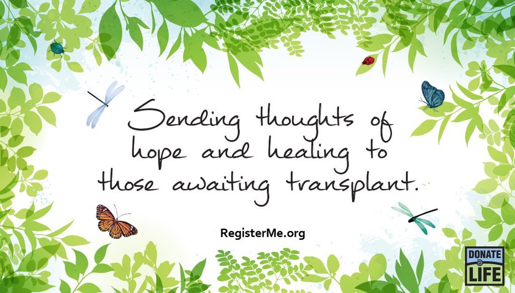 NEDonorServices's tweet photo. Join us in #DonateLifeSpiritWeek today by commenting a message of support for all patients currently waiting for a transplant. 

📝💙💚#DonateLife #DonateLifeMonth #NDLM #BGSpiritWeek https://t.co/kL5fauBEV7