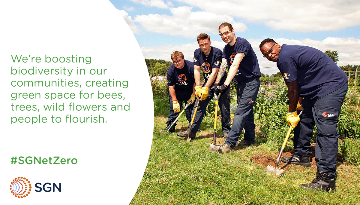 SGNgas's tweet photo. 🌲🐝 There’s a real buzz about our new Environment Strategy.
Our #ClimateAction plan will boost #biodiversity on our land, reclaiming green space for bees, trees, wildflowers, and communities to flourish.
Read more about our 2045 #SGNetZero ambition: https://t.co/k5GFfqN5Nr https://t.co/sEnpy7QTOM