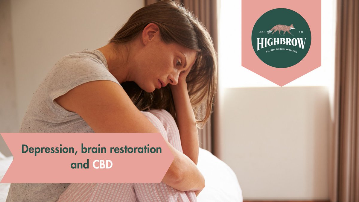highbrowgroup's tweet photo. Mental disorders are now believed to be caused by a combination of inflammation, trauma, chronic stress, and possibly low serotonin levels.

https://t.co/97c1MWzQQt

#CBDfacts #CBDbenefits #cbdoil #Cbd #cannabis #hemp #cannabiscommunity #cbdlife #cbdproducts https://t.co/VhPWmgW0z5