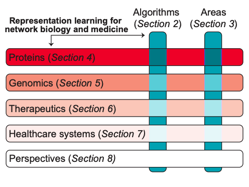 marinkazitnik's tweet image. Survey on Representation Learning for Networks in Biology and Medicine arxiv.org/abs/2104.04883
Long-standing principles of biomed nets (often unspoken in ML) provide grounding for representation learning, explain successes &amp;amp; limitations @_michellemli @KexinHuang5 #netbio #GNN #ML
