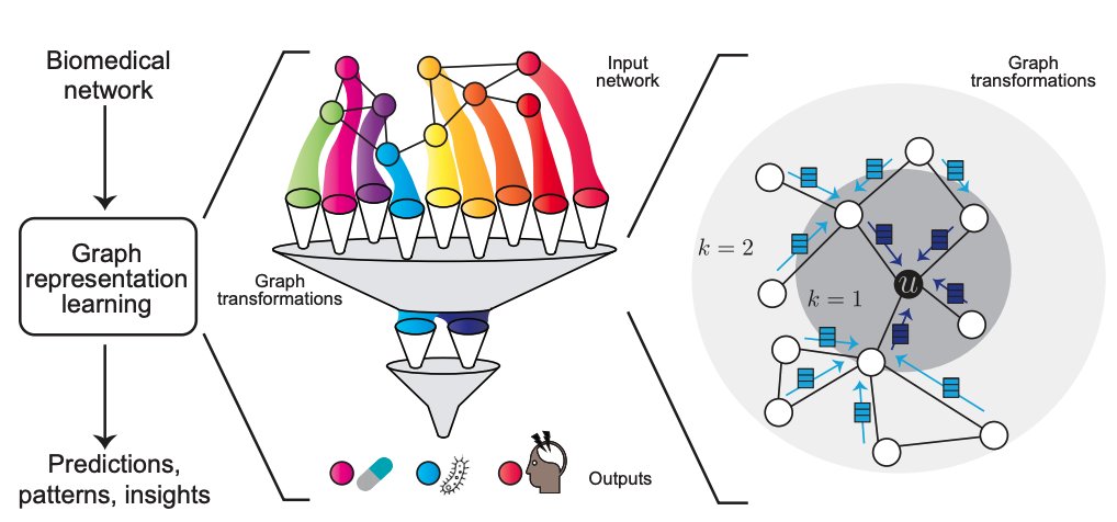 marinkazitnik's tweet image. Survey on Representation Learning for Networks in Biology and Medicine arxiv.org/abs/2104.04883
Long-standing principles of biomed nets (often unspoken in ML) provide grounding for representation learning, explain successes &amp;amp; limitations @_michellemli @KexinHuang5 #netbio #GNN #ML