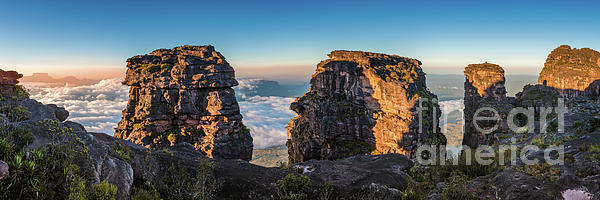 apomares's tweet photo. New artwork for sale! - "Panoramic view of Cathedral rocks on the summit of the Auyan Tepui. La Gran Sabana, Venezuela" - https://t.co/uDRcIPp0GB @fineartamerica https://t.co/u6gzNFyTSB
