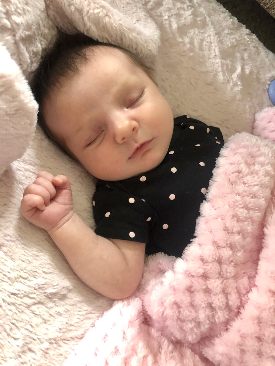 jenessabrookeee's tweet photo. I could just stare at you for hours 😴💤 https://t.co/feWKtiVRA1