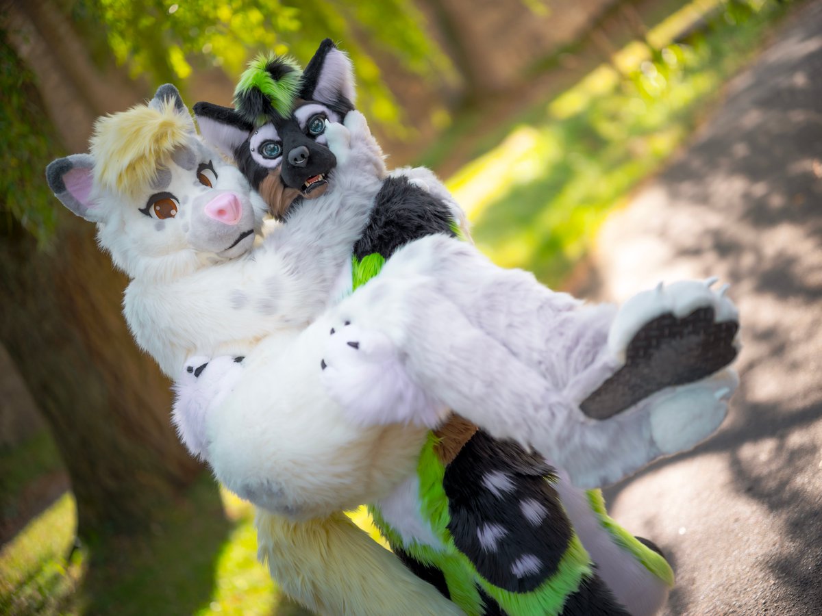 sachikosart's tweet photo. Are you sure I'm not too heavy? 😜 @jaysky95 as🏋️‍♂️
📸:@CaptainChaotika
#sachiko #sachikosart #rothenburgobdertauber #germany #germanfurs #fursuit #fursuitphotosession #luquine #furry https://t.co/APlOQzFJti