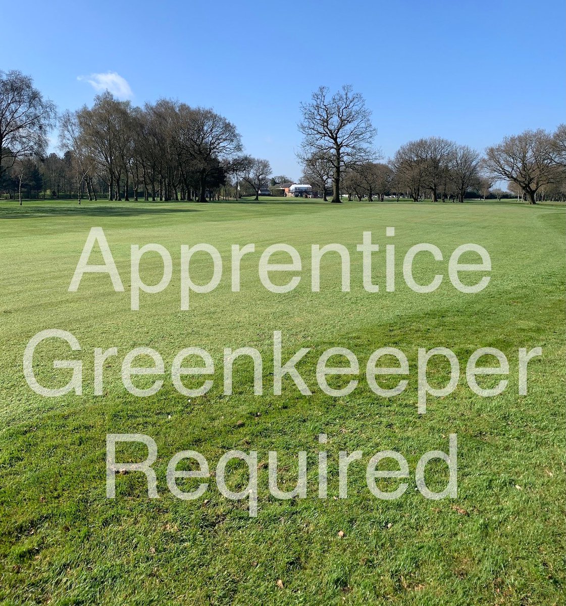 AstburyGC's tweet photo. Astbury Golf Club invites applications for the position of an Apprentice GreenKeeper.
Please see full details here: https://t.co/aCSXyGFMsI
#golf #greenkeeping #cheshiregolf #apprenticegreenkeeper #cheshire #astburygolfclub https://t.co/PHV60aIFui
