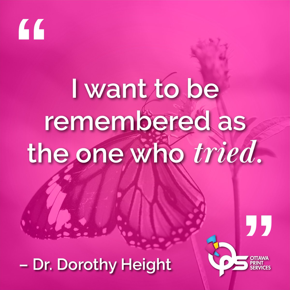 Take it one step at a time and you might surprise yourself with what you achieve!

#ottawaprintservices #motivationalquotes #opportunity #try #workhard #dorothyheight #remember #butterfly