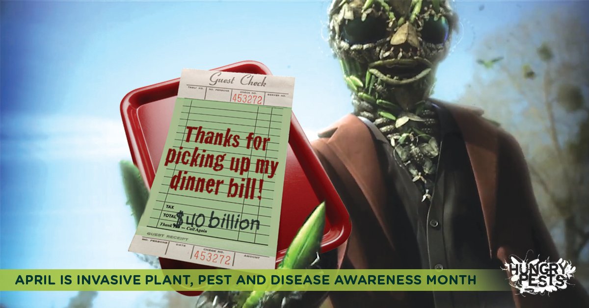 Invasive plant pests cost the nation $40 billion a year in damages – that’s quite a bill! Join @HungryPests in reducing their impact by learning how to spot and report them. We each have a role in preventing their spread.

Learn more: go.usa.gov/xHYpg #IPPDAM