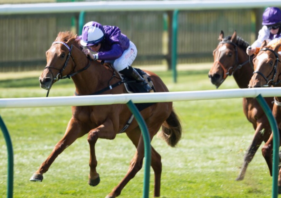 🇧🇷CONGRATS FORCA BRASIL🇧🇷
Great win for Forca Brasil today on debut , we are delighted to have bred the first Cotai Glory winner. Well done to all the Amo racing team 🌟🌟🌟
@Rossryan15 
<a href="/gbougheyracing/">George Boughey Racing</a>