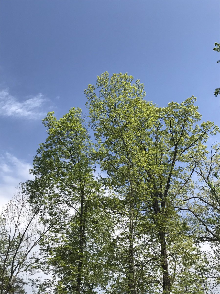 flysneaker's tweet image. it's pretty outside today