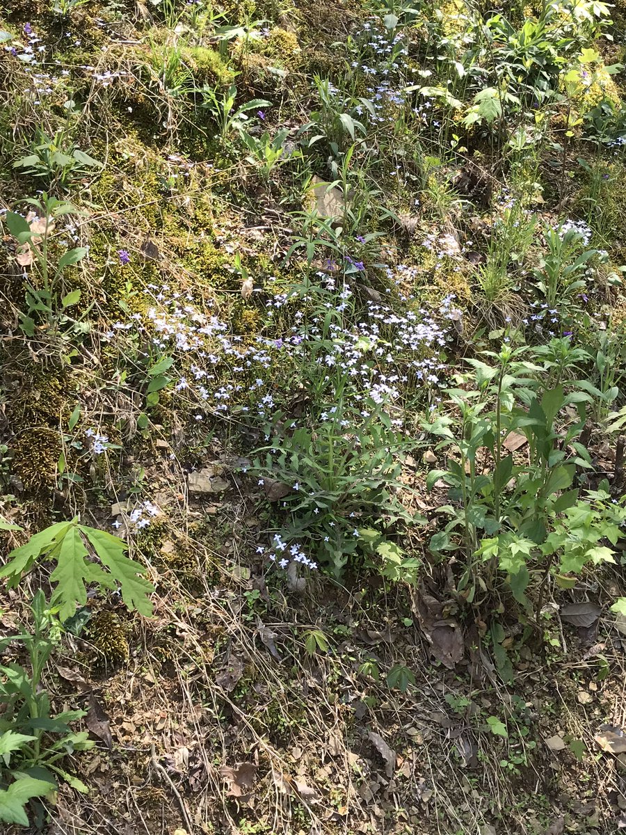 flysneaker's tweet image. it's pretty outside today