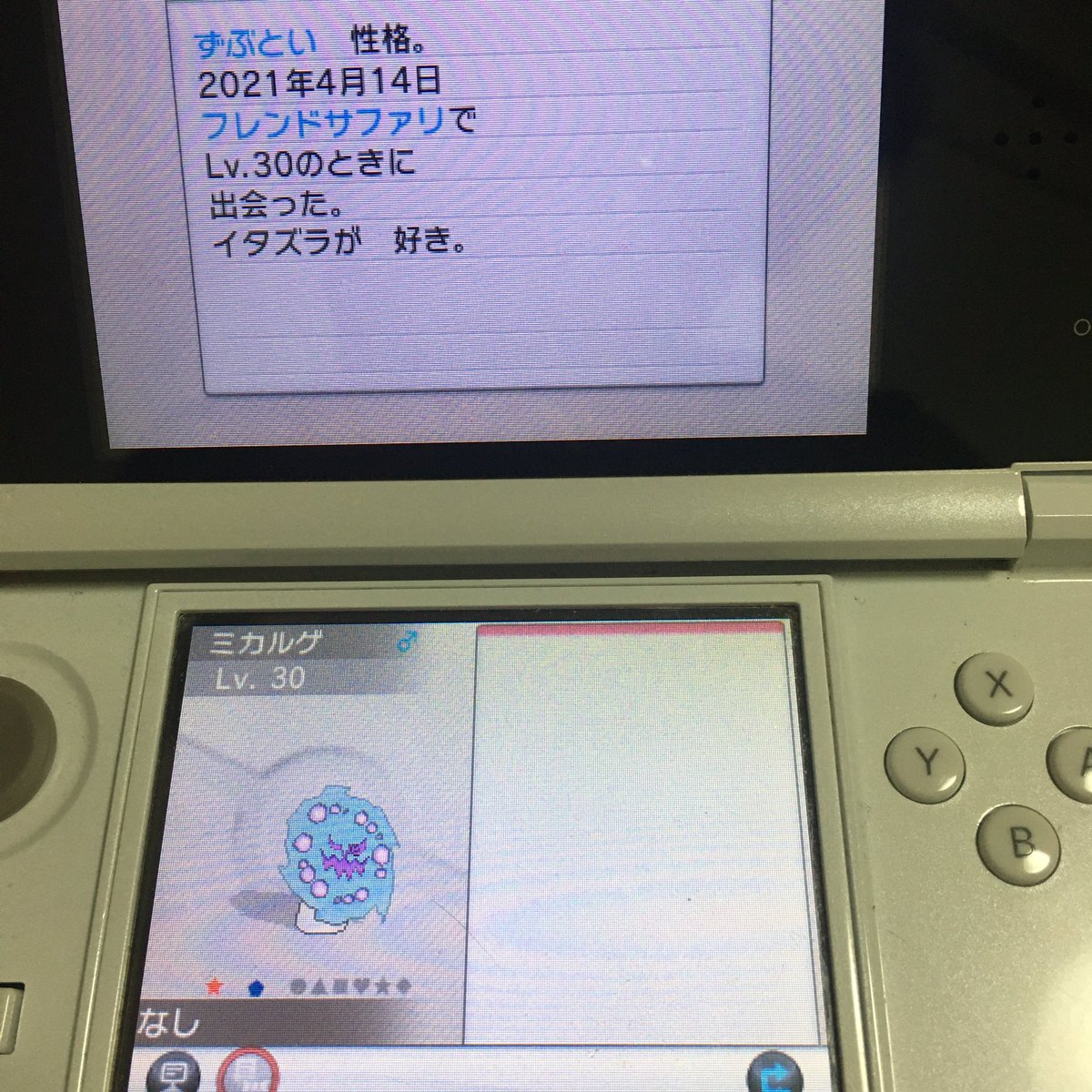 Hal318 フレンドサファリにて 色違いおんみょーんget 色違いポケモン Shinypokemon ポケモン ポケモンxy フレンドサファリ ミカルゲ Hal318 フレンドサファリにて 色違いおんみょーんget 色違いポケモン Shinypokemon ポケモン ポケモンxy フレンドサファリ ミカルゲ
