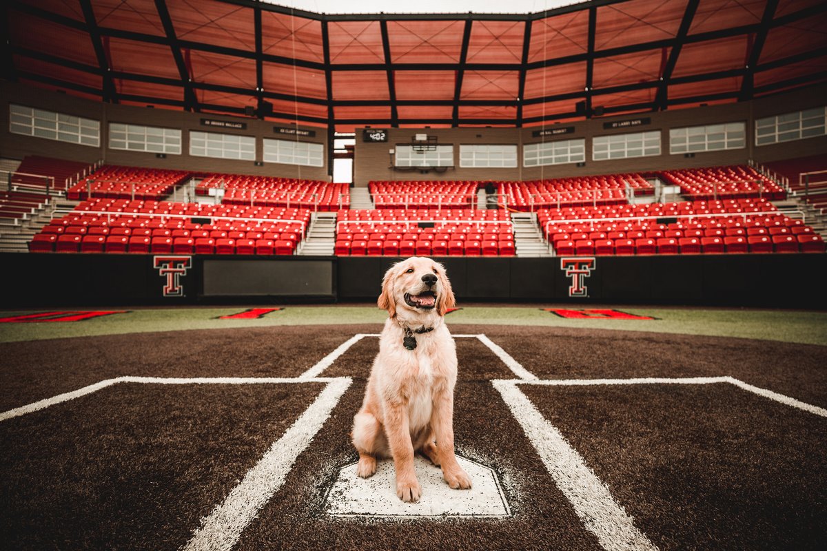 🐶 TOMORROW 🐶

Bark in the Park for our midweek finale vs SFA! First pitch at 1 pm. 

Info ➡️ wreckem.co/3sjdh7Y