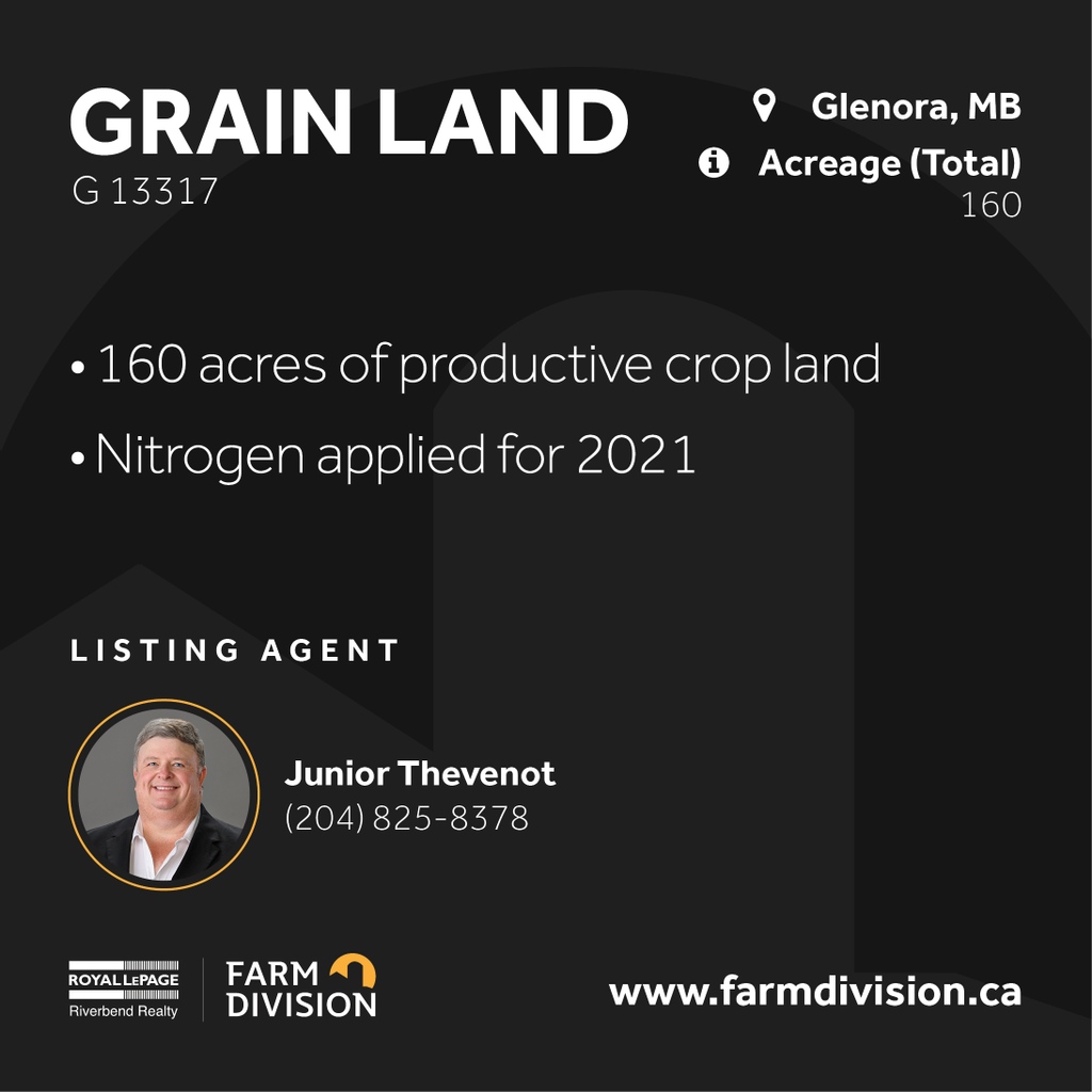 NEW Listing! Grain Land
G 13317
Near Glenora, MB
160 acres

* 160 acres of productive crop land
* Nitrogen applied for 2021

…lepageriverbendrealtyfarmdivision.com/listings/13317…

#YourFarmTeam #WeSellFarms #MBFarm #CanadianFarm
