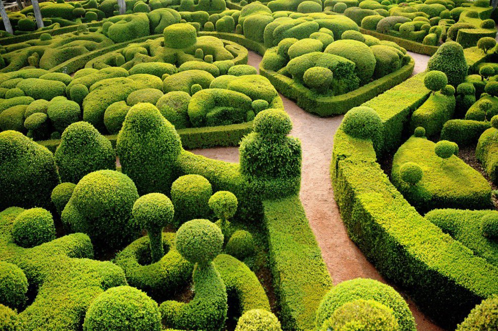 then_patterns's tweet image. #Patterns #Garden  @ricburton