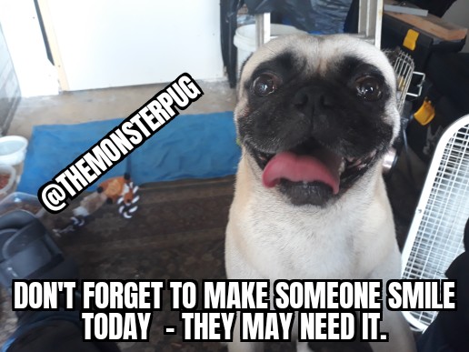 TheMonsterPug's tweet photo. https://t.co/VQiEPYB0QW