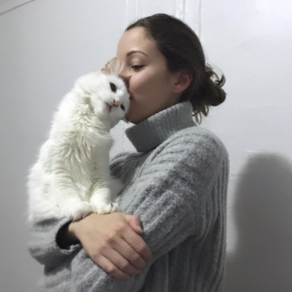 Bideawee's tweet photo. This sweet senior boy is Wuss & he’s a dream companion. ❤️He lost his home when his person passed away, but his foster mom told us that he loves to sleep with her every night, & always finds a spot where he can be as close to her as possible! Apply online: https://t.co/JCbaBnkvvS https://t.co/gaAO2nf0eQ