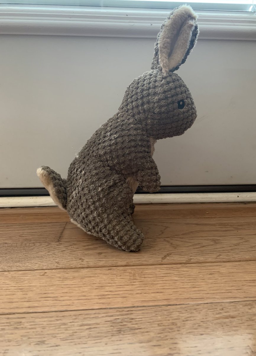CoolBeanzYT's tweet photo. Look how this toy landed when I was throwing it! 😳 https://t.co/hyzBAVw4Uz