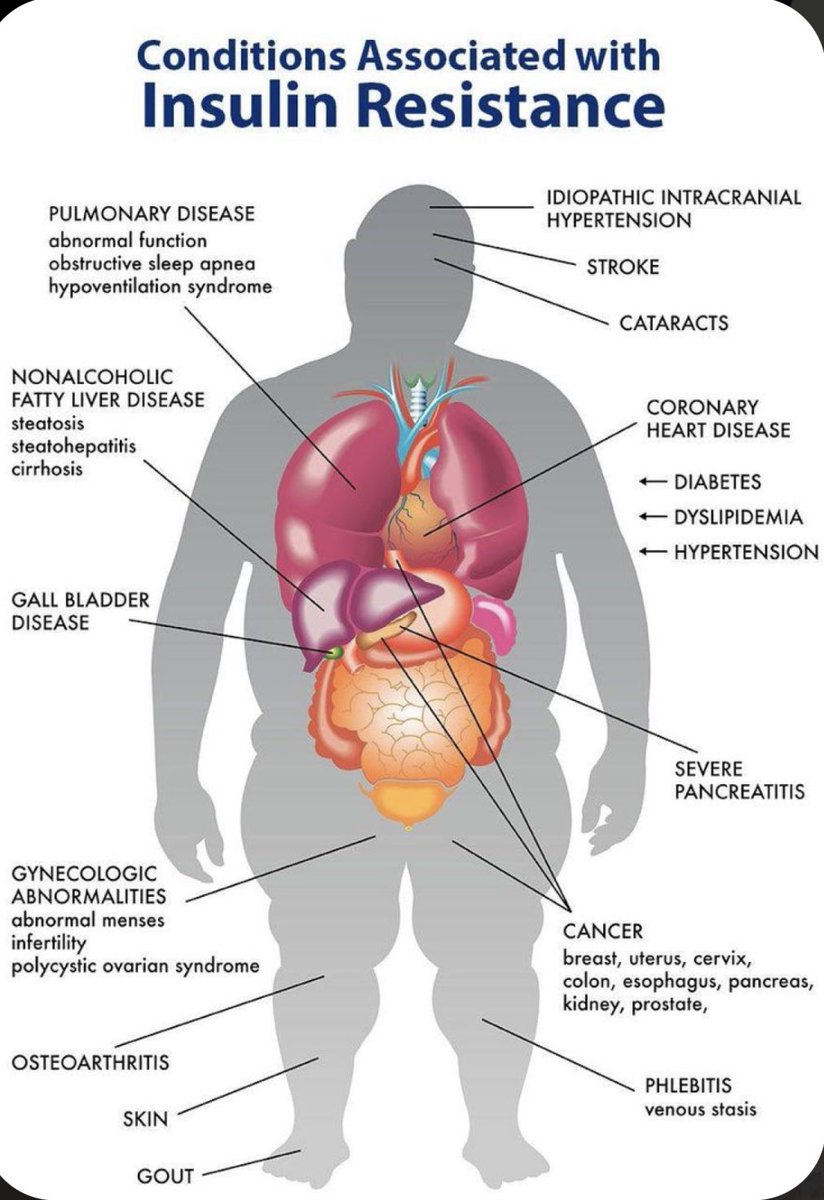 The National Diabetes Prevention Program tweet media