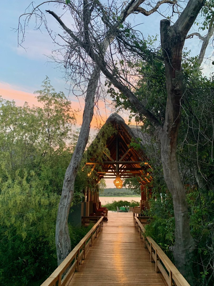 Homely welcomes from a blazing sunset on the Zambezi 🌞 So pleased you could join us... step right this way 🙏🏽

#theroyalchunduexperience 
#zambeziriver #zambia <a href="/RelaisChateaux/">Relais & Châteaux</a>