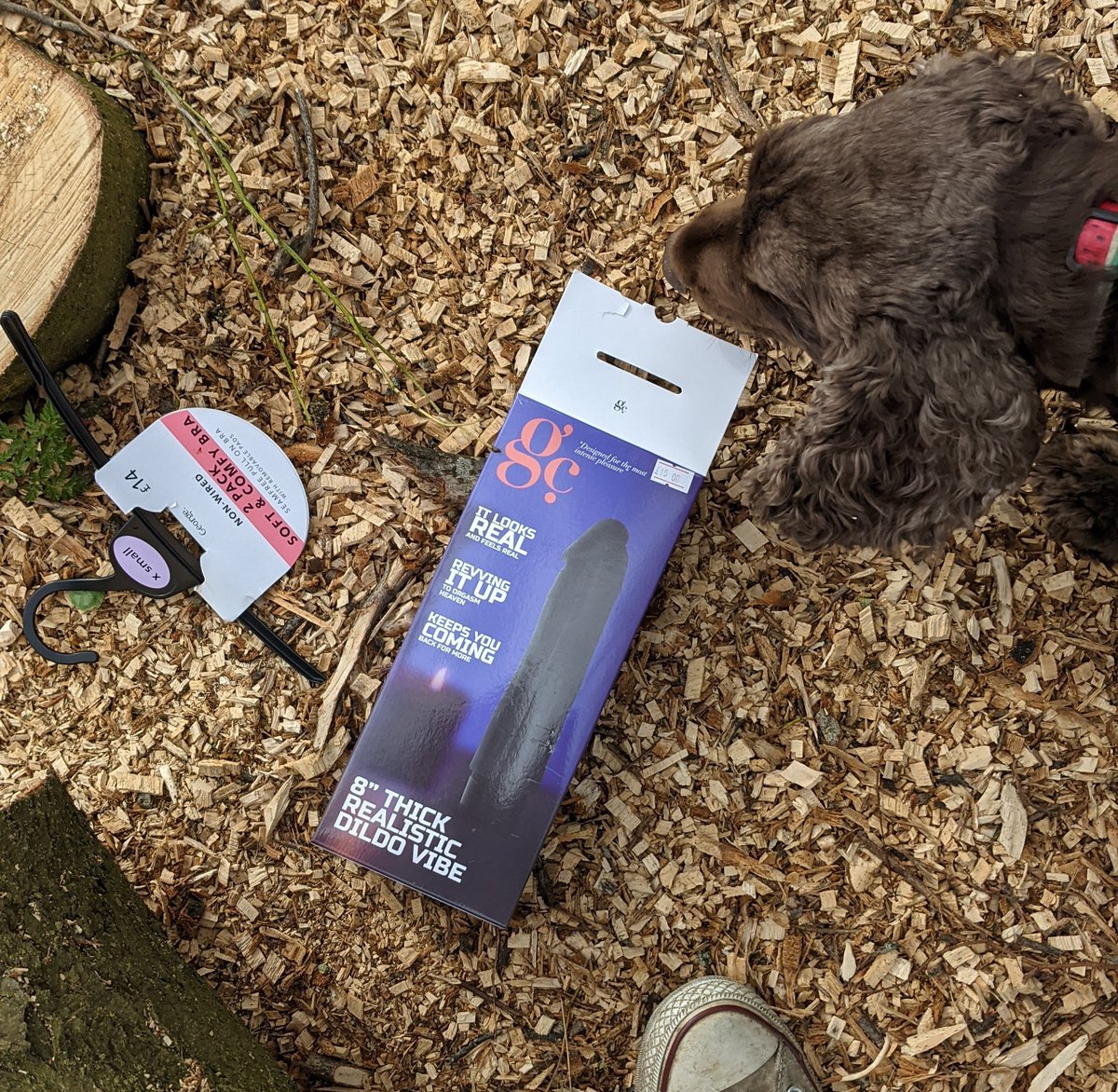 Me and Ted found a dildo on our walk