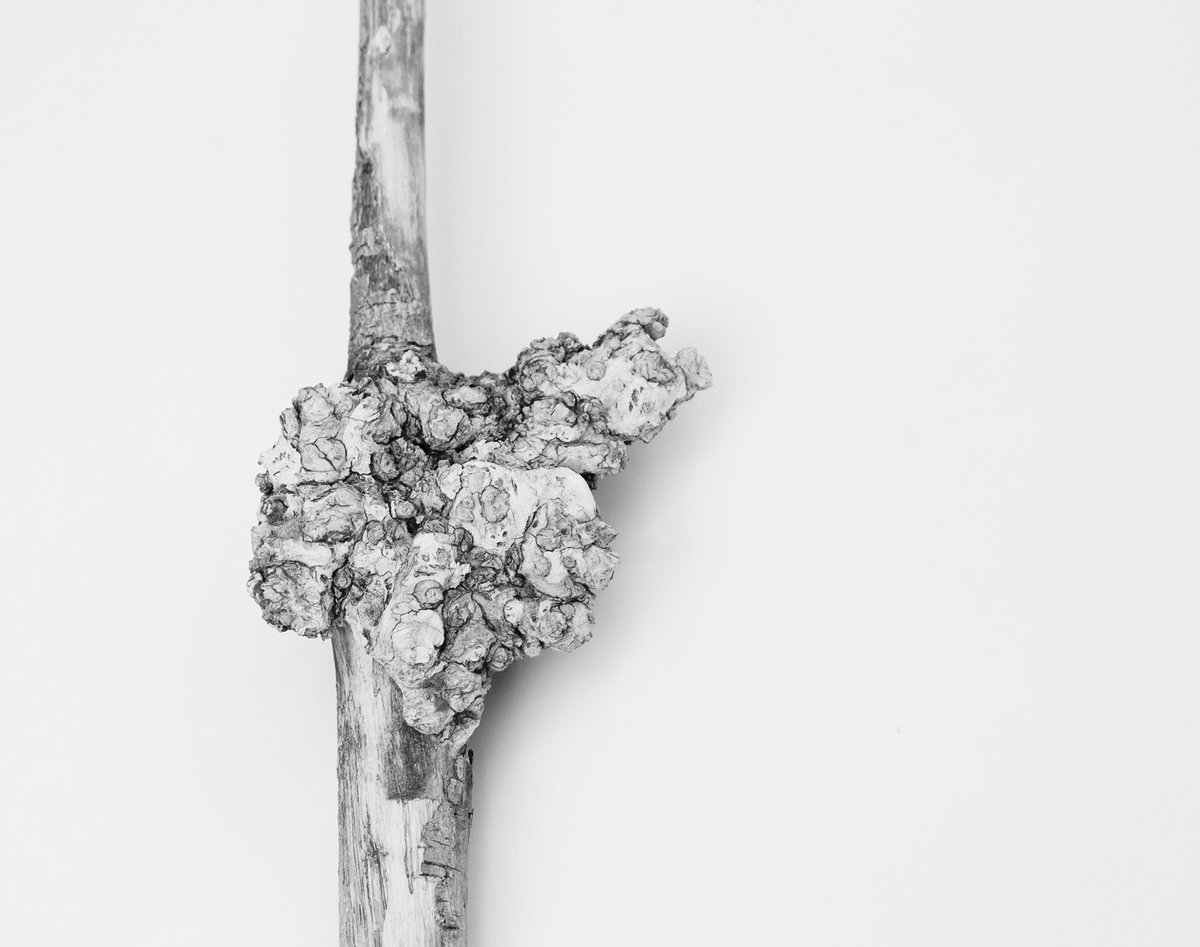 Unearthed Literary Journal tweet media
