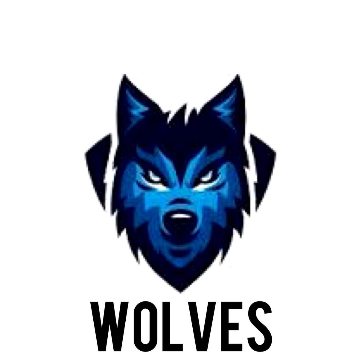 Fu6_ii's tweet photo. @herosChampions @DonHellFC @Saudi_ECA We are wolves https://t.co/LXbqEEEIl3