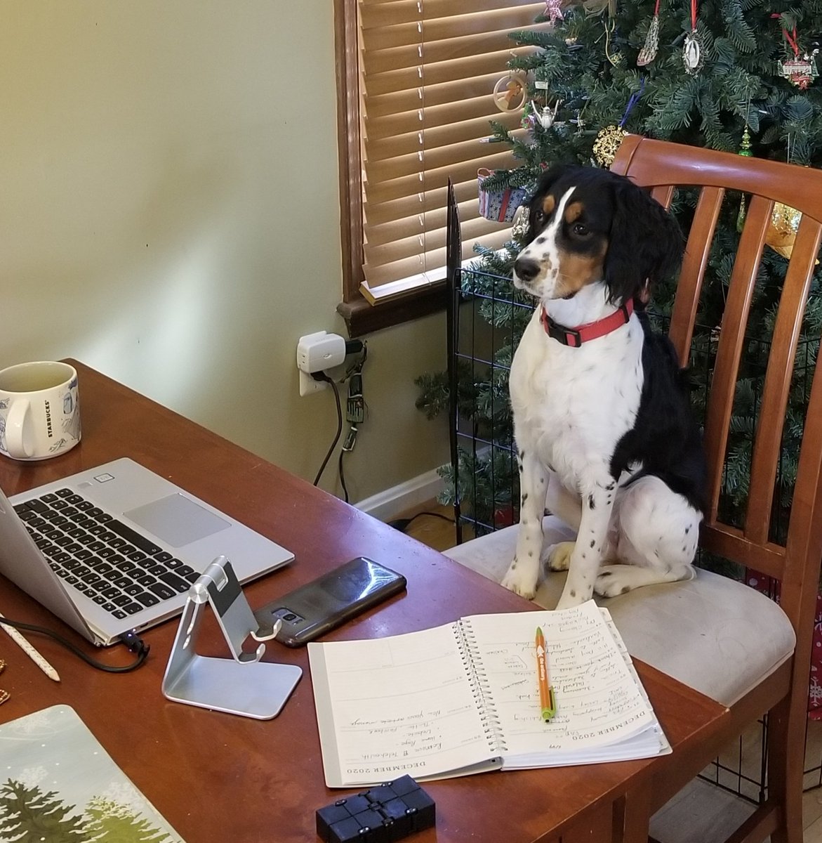 Heather Parsons tweet media