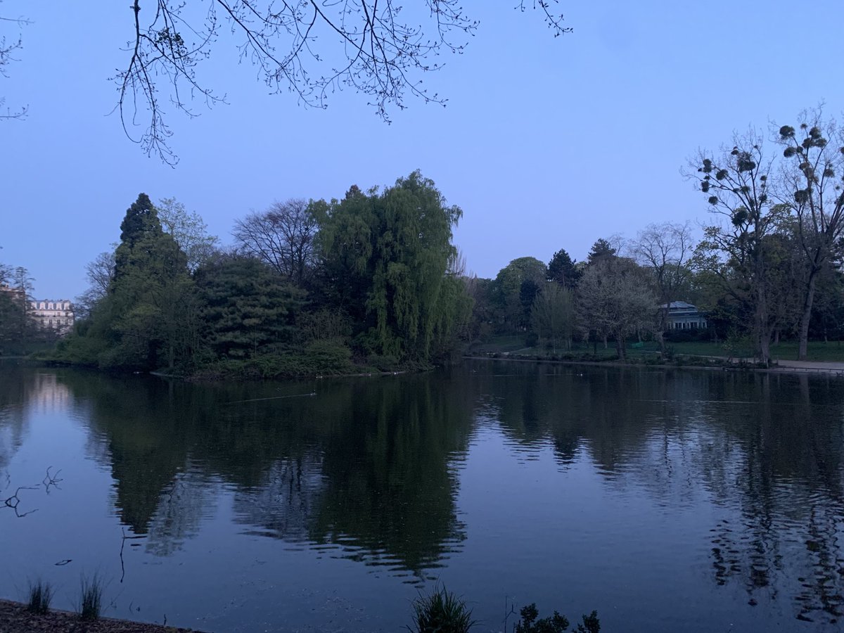 Canada ? Non bois de Vincennes, 13 avril 2021 à 7h