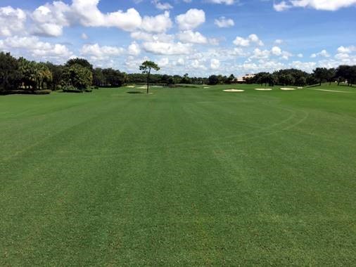 GCImagazine's tweet photo. .@TLoweTGrass of Bayer is back with a two-part blog post about turf and weed control. Some helpful hints and tips in here.
Part 1: https://t.co/XKGDW6lI38
Part 2: https://t.co/Q2UVt1jgqk https://t.co/oK3YLWuwDm
