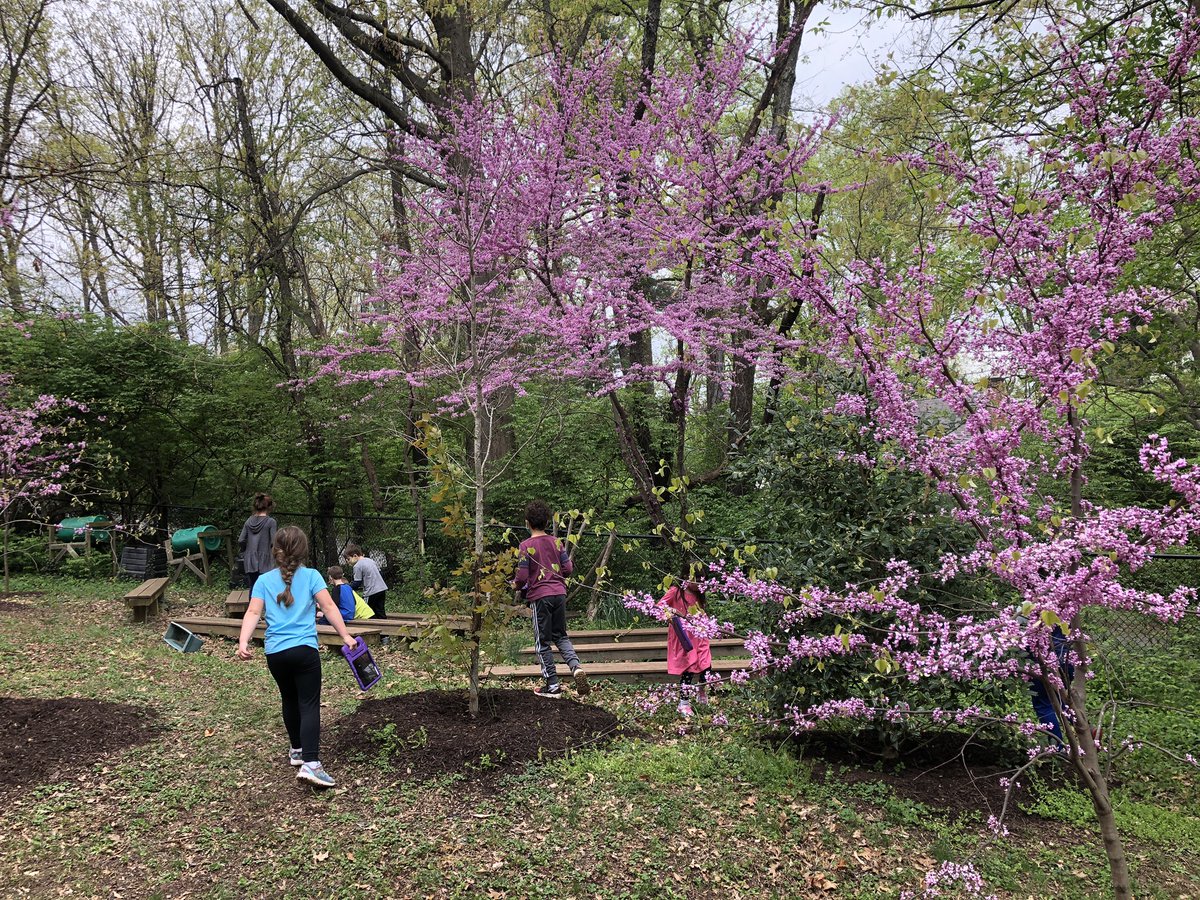 MrDTechEducator's tweet image. So much fun to be back @mdhippos exploring all things Spring 👍 @MD_Room224