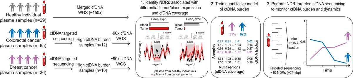 Nature Communications (@naturecomms) on Twitter photo New paper by <a href="/anders_js/">Anders J. Skanderup</a> <a href="/GuanhuaPeterZhu/">Guanhua Peter Zhu</a> <a href="/astar_gis/">A*STAR Genome Institute of Singapore (A*STAR GIS)</a> shows that nucleosome-dependent degradation and 6 regulatory regions are predictive of #circulating #tumour #DNA burden throughout #cancer #progression
#CancerResearch <a href="/NatResCancer/">Cancer at Nature Portfolio</a>
go.nature.com/3uSbKYl New paper by <a href="/anders_js/">Anders J. Skanderup</a> <a href="/GuanhuaPeterZhu/">Guanhua Peter Zhu</a> <a href="/astar_gis/">A*STAR Genome Institute of Singapore (A*STAR GIS)</a> shows that nucleosome-dependent degradation and 6 regulatory regions are predictive of #circulating #tumour #DNA burden throughout #cancer #progression
#CancerResearch <a href="/NatResCancer/">Cancer at Nature Portfolio</a>
go.nature.com/3uSbKYl