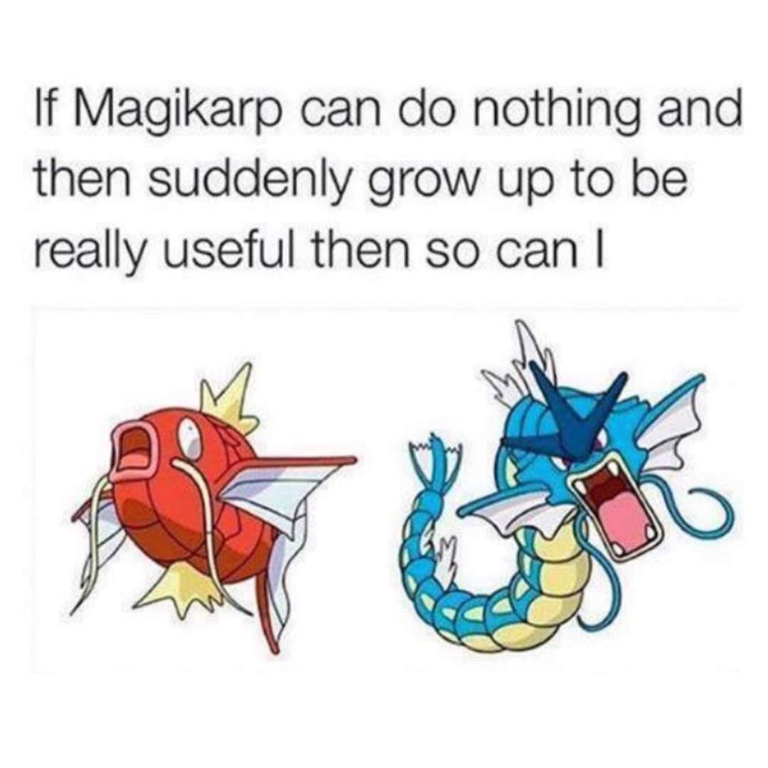 My girlfriend sent me this today and man, it really do be that way 
#magikarp #pokemon #stayuseless #whogonstopmehuh