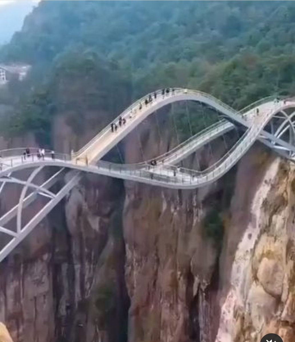 TrishFL1's tweet image. So, would you walk across this bridge?