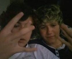 ftdtwithharry's tweet image. narry es superior desde el día que niall los invito a todos a su casa en  irlanda y harry fue el único que fue