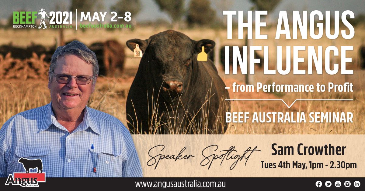 angusaustralia's tweet photo. The upcoming Angus Australia @BeefAustralia seminar will feature insight from several industry professionals, including Sam Crowther, Principal, Harrow Grazing.
🎟Learn more and get your tickets here 🎟 ➡️ https://t.co/Mp1ipsrb1B
#AngusPremium #GrowAngus #Beefison #Beef2021 https://t.co/Kqne12Izim