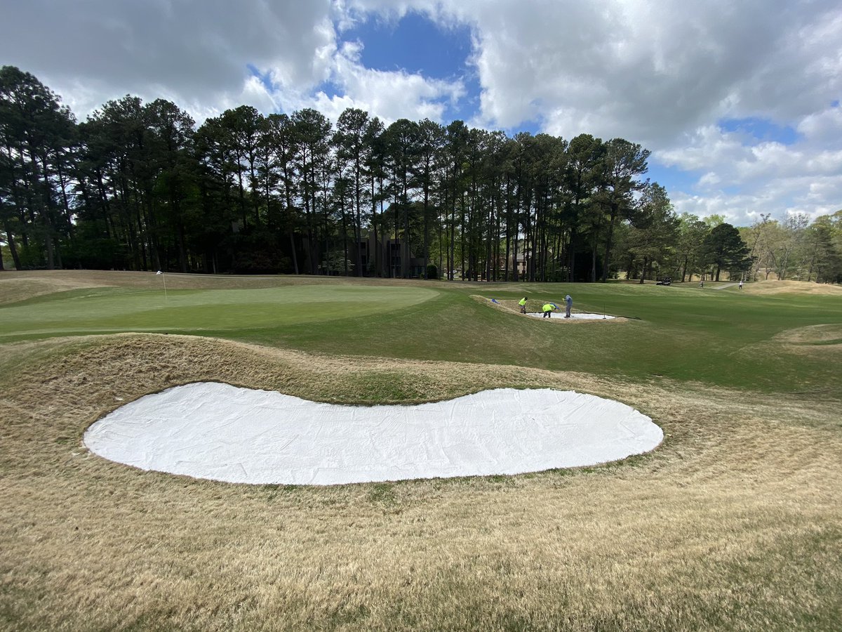 Genesis_Blaine's tweet photo. Fresh new Genesis Pro White in the bunkers at @KingsmillResort     Looking good.   @Chad_Karr @thesandman_gti @GenesisTurf @GMPIII https://t.co/mhPkBQ3FhI