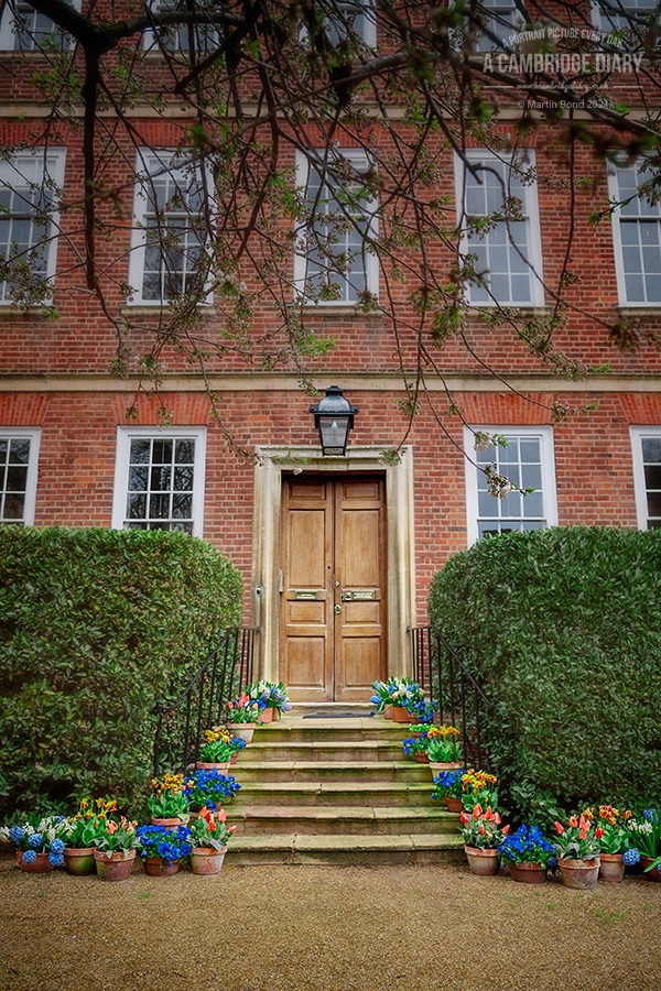 I seem to be entering a floral period in my pictures but I couldn't resist this one - the steps to the Master's Lodge at Peterhouse.

A portrait picture of Cambridge every day since 2010. (No 4045) Tuesday 13th April 2021.

<a href="/Peterhouse_Cam/">Peterhouse Cambridge</a>