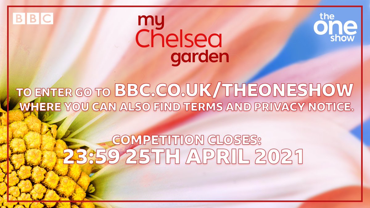 ⚠LAST CHANCE⚠ 🌷 Our #MyChelseaGarden competition closes tonight: 23:59 on Sunday 25th April 2021 🌷 So hurry! 🌷 To enter go to bbc.co.uk/theoneshow where you can also find terms and privacy notice. #TheOneShow @the_rhs @MissAlexjones