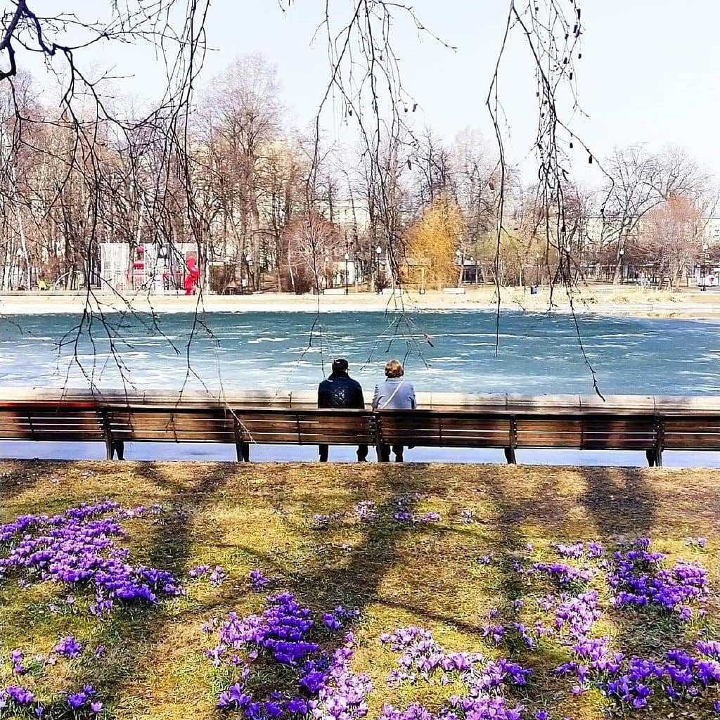 vseomoskve's tweet photo. Весенний Парк Горького 🌸
📷 @elmiranabiulina
#всеомоскве #москва #помоскве #фото #vseomoskve #moscow #moscowlife #picture_to_keep #ilovemoscow #wonderful_places #vmoskve https://t.co/JpXACur6KN