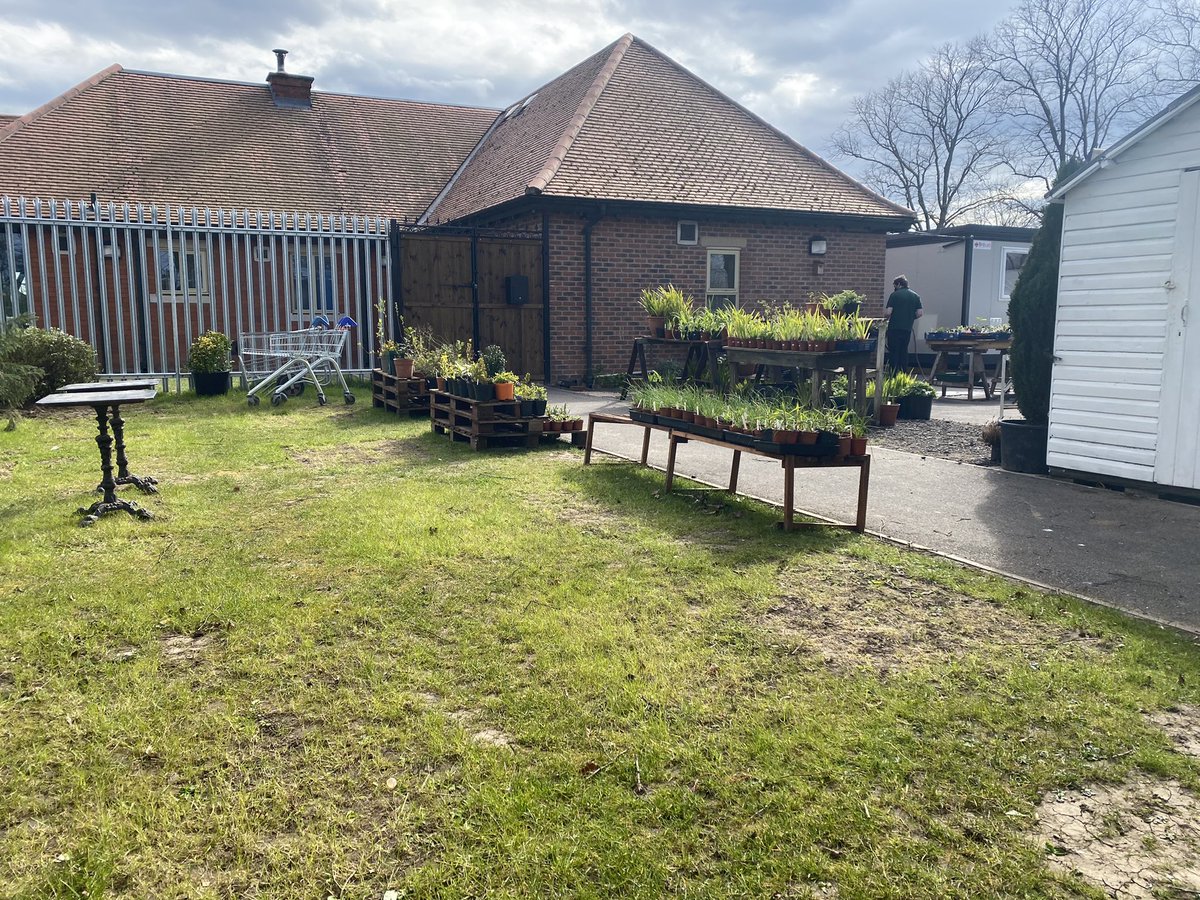 WestParkGoole's tweet photo. @YorkshireBloom @KentinBloom @MaryBir88192965 @BonnieBlantyre @uptonuponsevern @LondonInBloomUK @garforthinbloom @totnesgardens @Denbighinbloom @oakhaminbloom @amberolUK @KingBaggyking @WVinBloom @helier_st @StaininginBloom @pontefractinbl1 @WfieldinBloom @nwibofficial1 @cumbriainbloom @HOEInBloom Been back to the park in the sunshine this afternoon. Right day today 😹Fascinating watching the birds building nests and @GreenTeamGoole have been busy with the cafe and plants #bloomhour https://t.co/uK98Vhuk7p