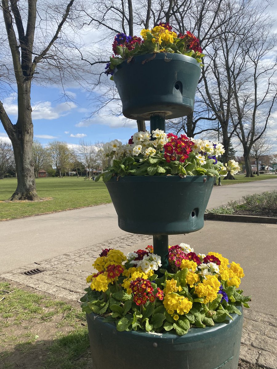 WestParkGoole's tweet photo. @YorkshireBloom @KentinBloom @MaryBir88192965 @BonnieBlantyre @uptonuponsevern @LondonInBloomUK @garforthinbloom @totnesgardens @Denbighinbloom @oakhaminbloom @amberolUK @KingBaggyking @WVinBloom @helier_st @StaininginBloom @pontefractinbl1 @WfieldinBloom @nwibofficial1 @cumbriainbloom @HOEInBloom Been back to the park in the sunshine this afternoon. Right day today 😹Fascinating watching the birds building nests and @GreenTeamGoole have been busy with the cafe and plants #bloomhour https://t.co/uK98Vhuk7p