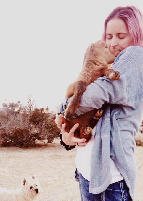 On this day, I discovered #GoatTwitter and I wish to share my sweet girl Flora 🐐🌸 #love #farmlife #sweet<a href="/tag/goattwitter"class="tags">#GoatTwitter</a><a href="/tag/love"class="tags"><span>#love</span></a><a href="/tag/sweet"class="tags"><span>#sweet</span></a><a href="/tag/farmlife"class="tags"><span>#farmlife</span></a>
