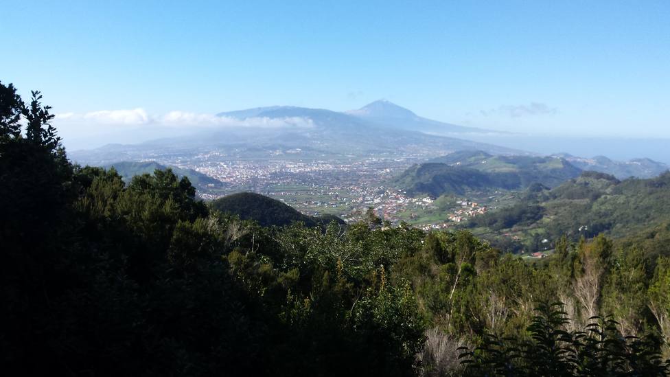 #Tenerife: 10 miradores donde conseguir las mejores.

#visittenerife #viajar blgs.co/t6BG72