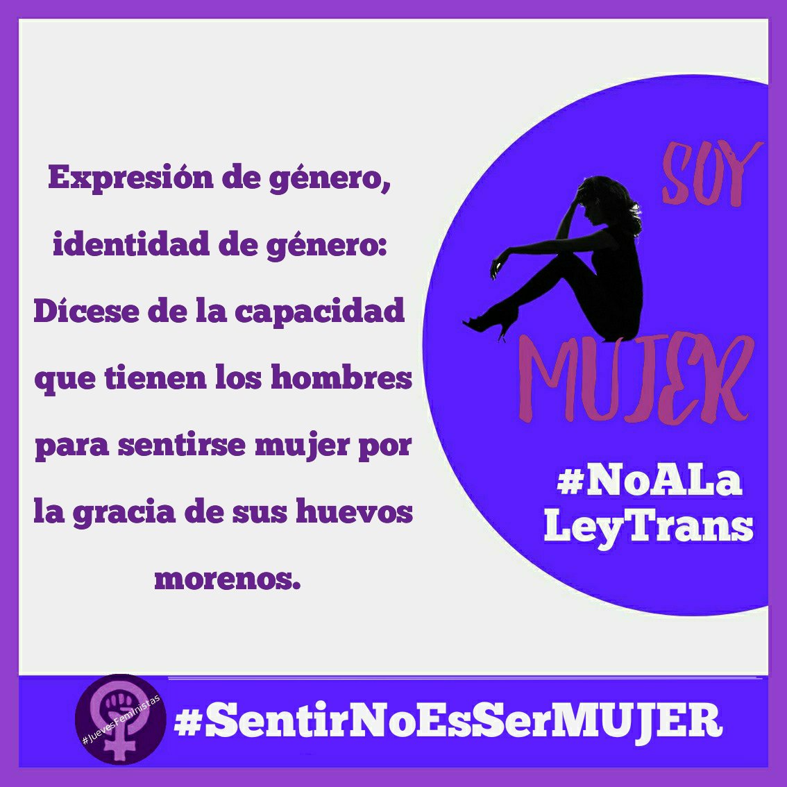 Si el sexo es irrelevante a nivel jurídico, todas las políticas para combatir la desigualdad estructural que las mujeres padecemos se tornan irrelevantes.

#SentirNoEsSerMujer
#JuevesFeministas
#NoALaLeyTrans