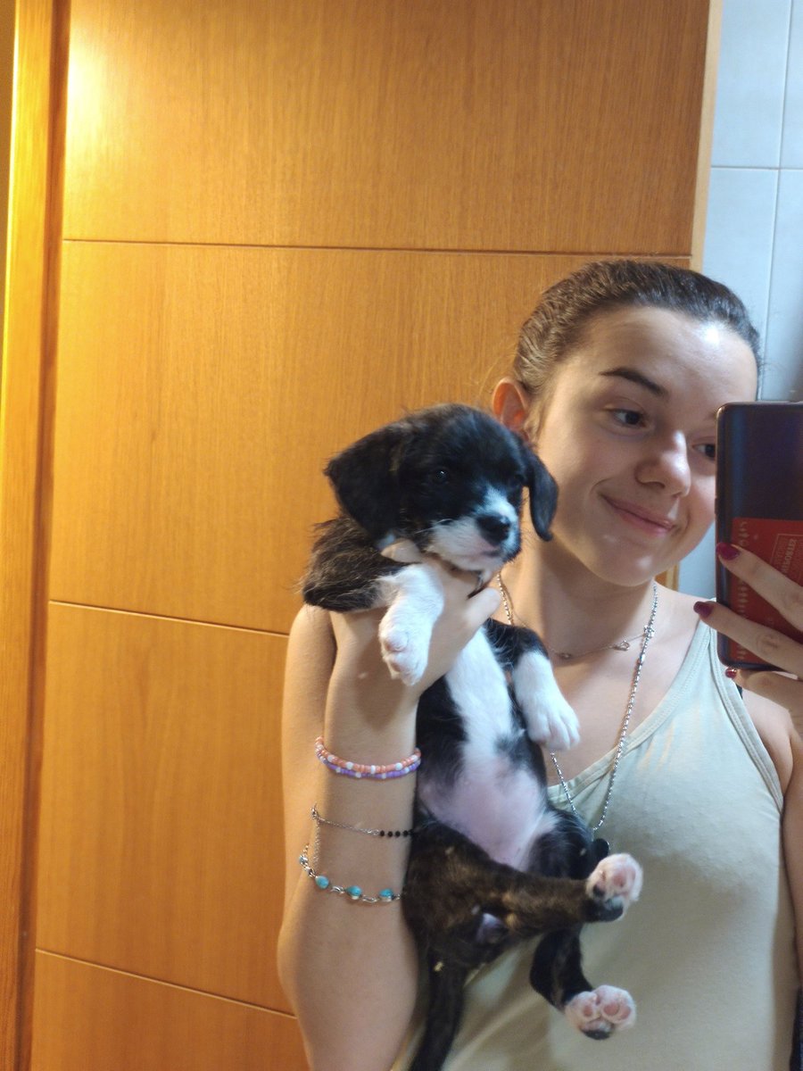 theblaackwolf's tweet photo. Cómo empezó        //       Cómo va https://t.co/NDZx9jokwf